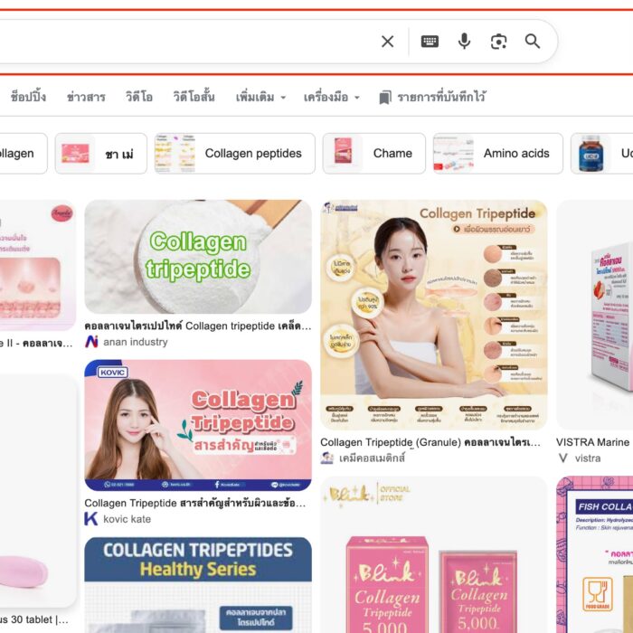 ผลงานการทำseo1 -เว็บ-collagen4